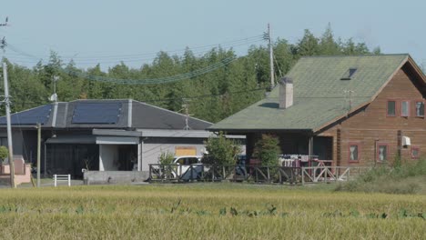 rustic wooden house with solar panels amidst fields in kyushu, japan, on a sunny day