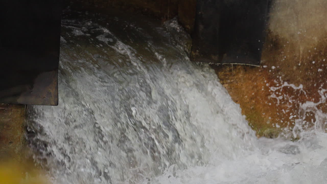 Salmon jump in Ganaraska slow motion, capturing nature's struggle