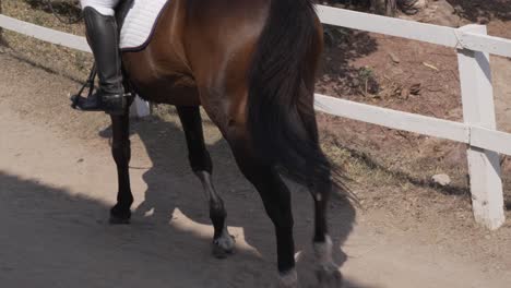 vrouw die op een bruin paard rijdt op een paardensportwedstrijd.