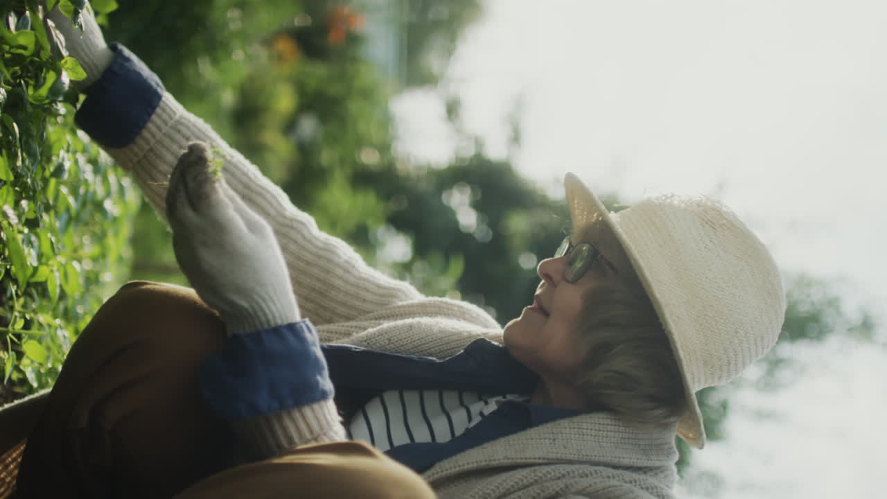 Elderly Woman Gardening on a Sunny Day