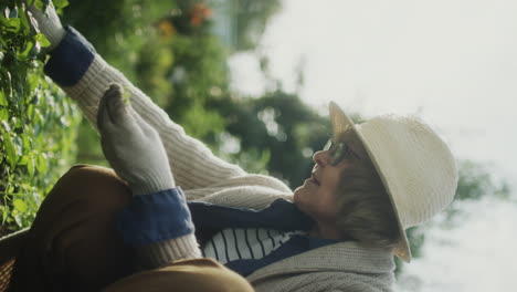elderly woman gardening on a sunny day