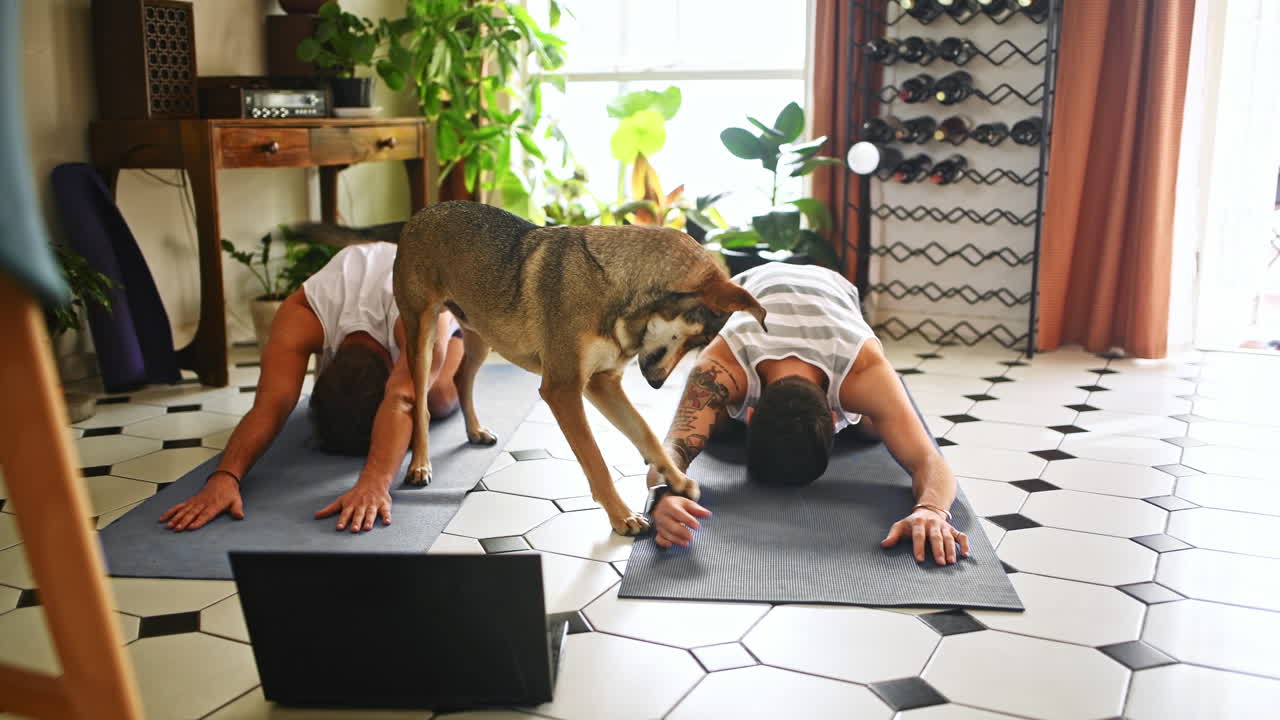 Hey dad, what are you doing on the floor?