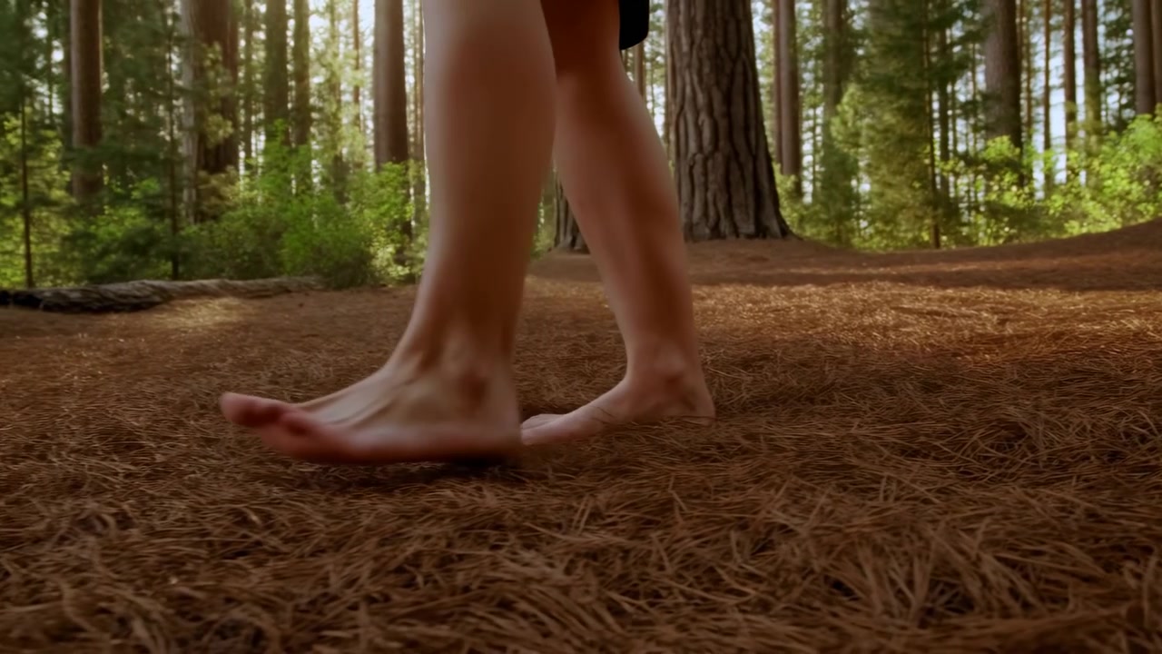 Bare lower legs and feet move along a dry needle-covered forest floor, with tall pine trunks rising in the background and warm sunlight filtering through the