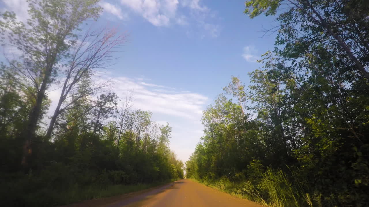 Un'auto che percorre una strada sterrata attraverso una foresta al tramonto
