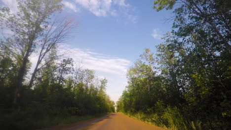 conducción de automóviles en un camino de tierra a través de un bosque durante la puesta de sol