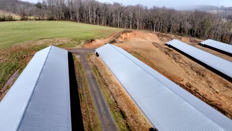 Hühnerfarm-In-Wilkes-County-Nc,-North-Carolina