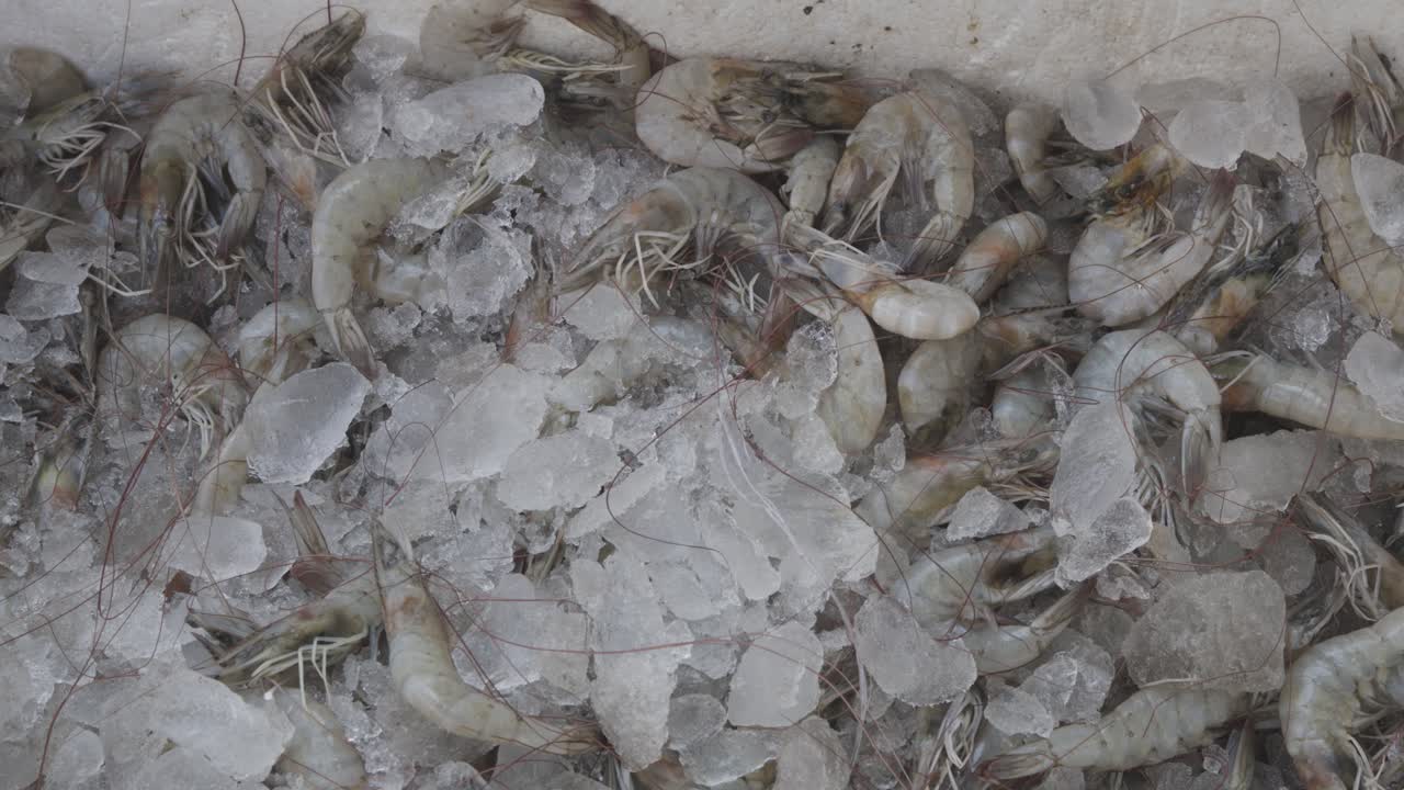 신선한 새우는 다른 각도에서 낮에 판매 할 소매점에서 눈 상자에 보관됩니다.