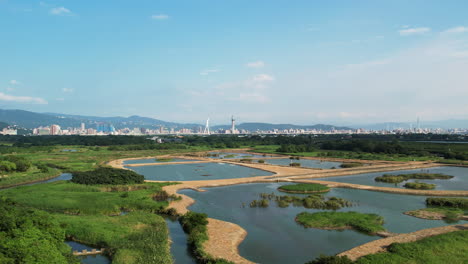 Drohnen-Dolly-über-Feuchtgebiets-Teichen-Im-Guandu-Naturpark-Mit-Der-Skyline-Von-Taipeh-In-Der-Ferne