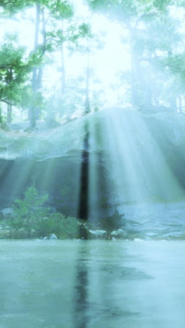 friedlicher waldsee mit sonnenstrahlen