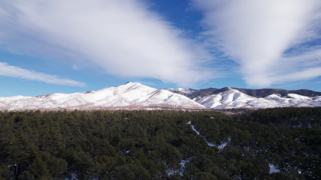 Drone panning shot over the top of trees with a mountain in the background