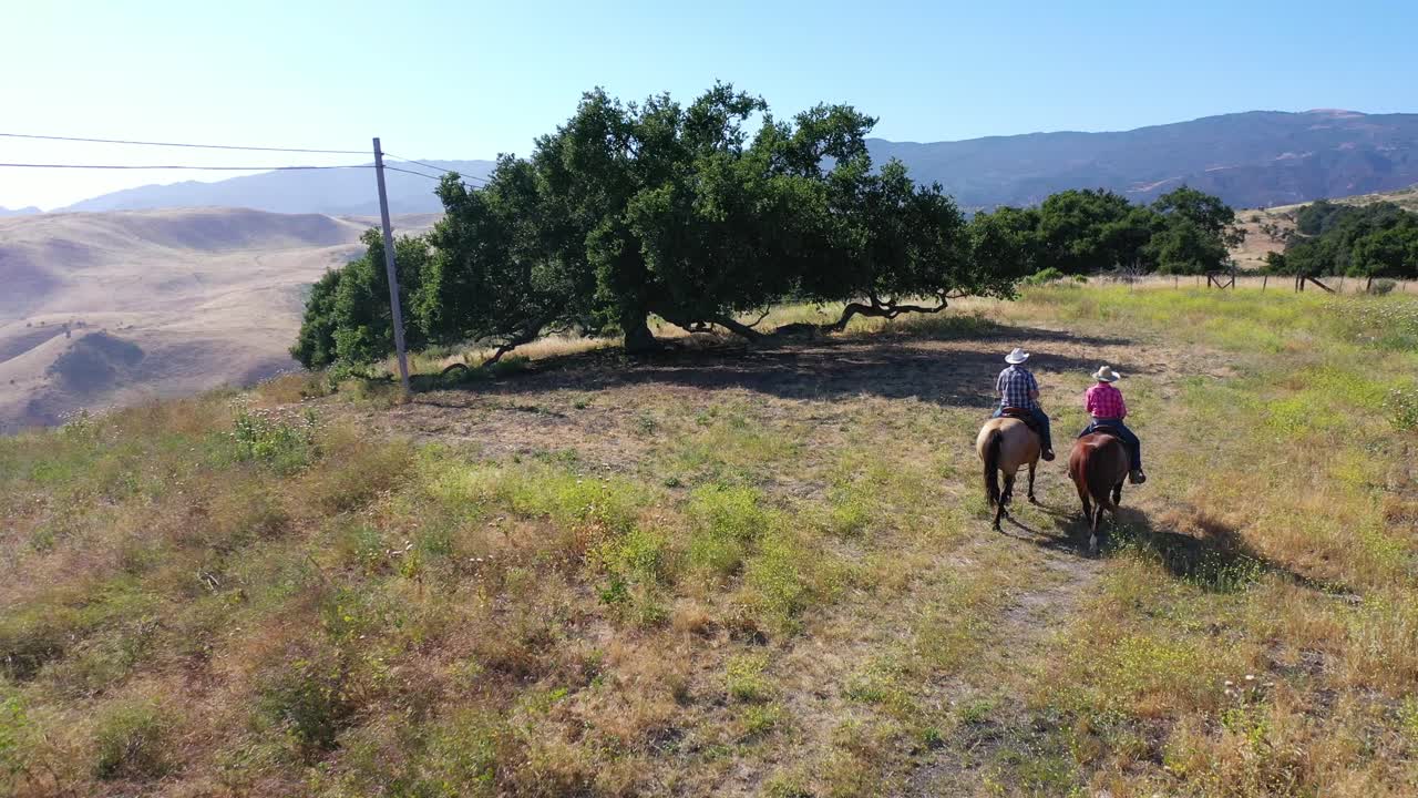 pareja de jubilados aéreos montando caballos en los robles de la cima de la montaña en un rancho cerca de santa barbara california
