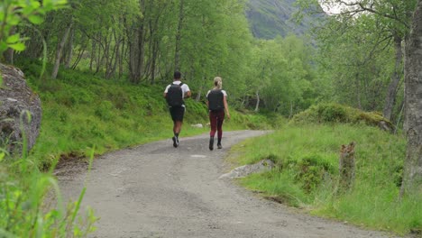 couple hiking on a forest path with sheep in a mountainous landscape