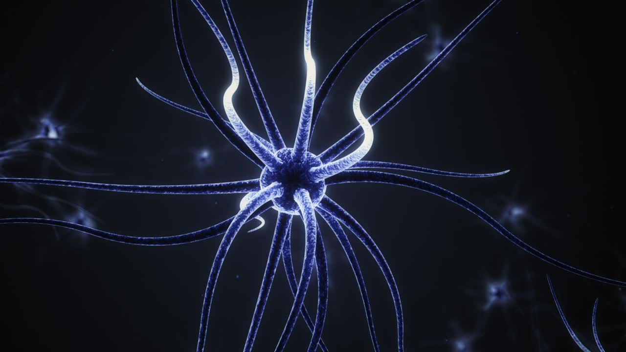 Neuron Neural Network