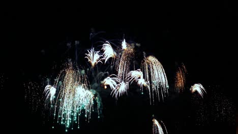 coloridos fuegos artificiales explotando en el cielo nocturno. celebraciones y eventos en colores brillantes.