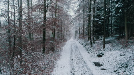 a drone flies done the center of a frozen forest path