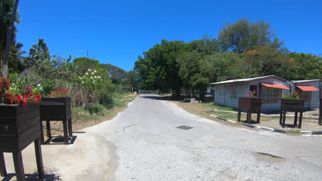 a deserted driveway with cars passing by on the island of curacao near the tropical zoo of the island