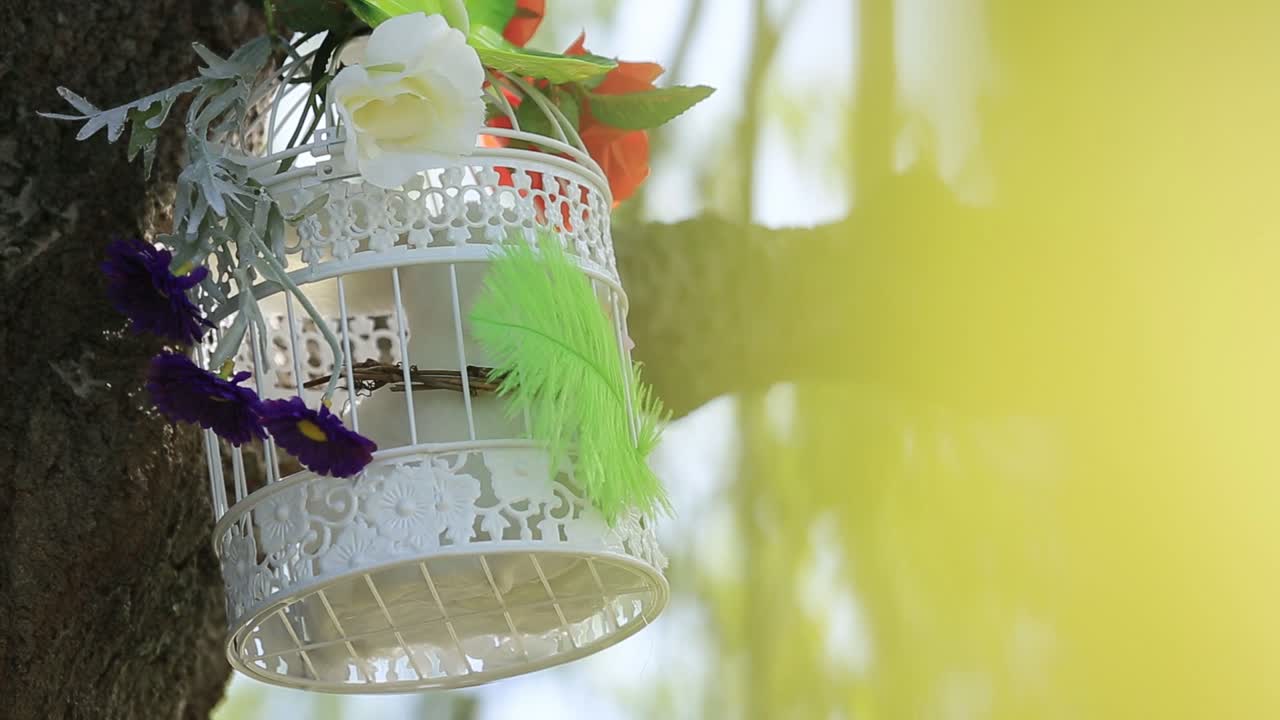 in the park on a branch hanging white bird cage with a beautiful bouquet of flowers