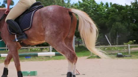 Pferd-Zu-Fuß-Auf-Der-Parade-Neben-Der-Hürde