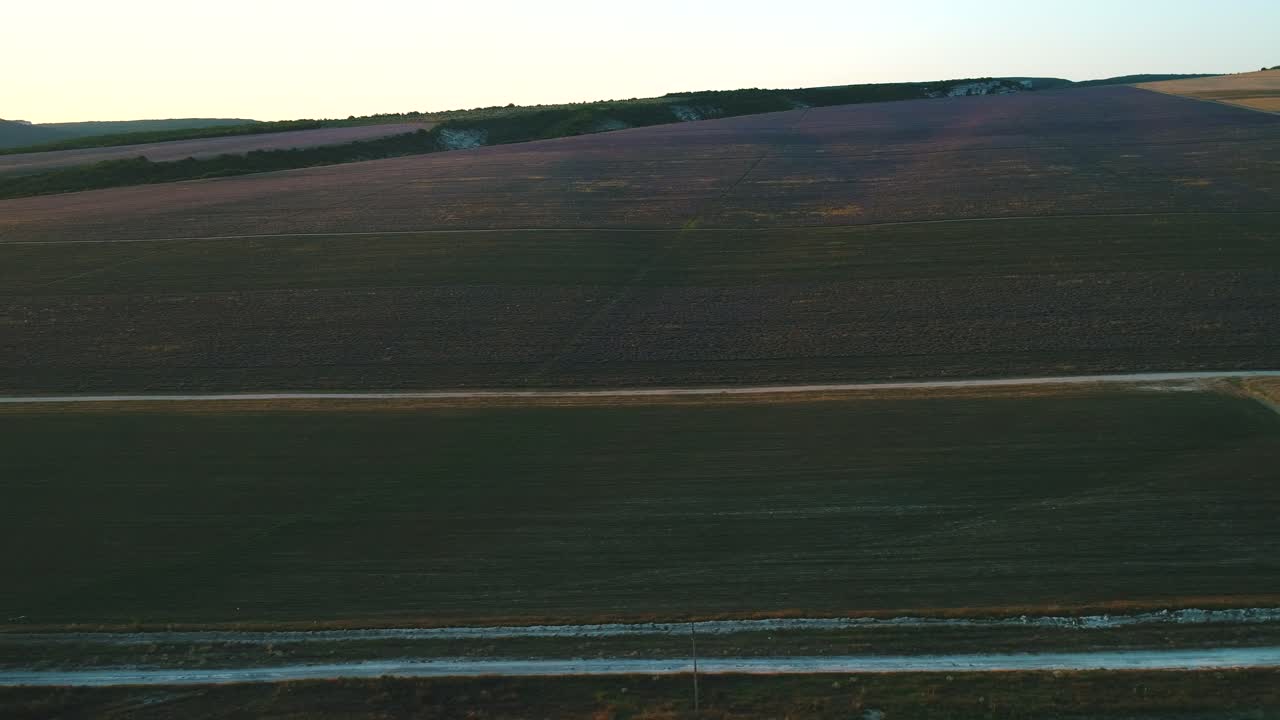 взгляд с воздуха на поля лаванды при заходе солнца