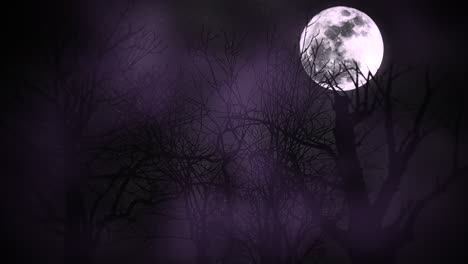 Mystical-animation-halloween-background-with-dark-moon-and-clouds-3