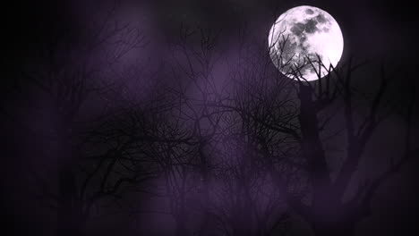 mystical animation halloween background with dark moon and clouds 3