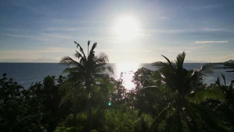 breathtaking flyover drone shot of lush palm trees facing vast ocean horizon with sunset - san andres, catanduanes, philippines