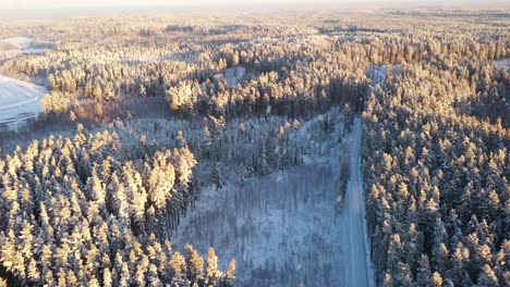 Eisige-Winterstraße,-Die-Bei-Schneefall-Durch-Gefrorenen-Wald-Führt,-Luftbild