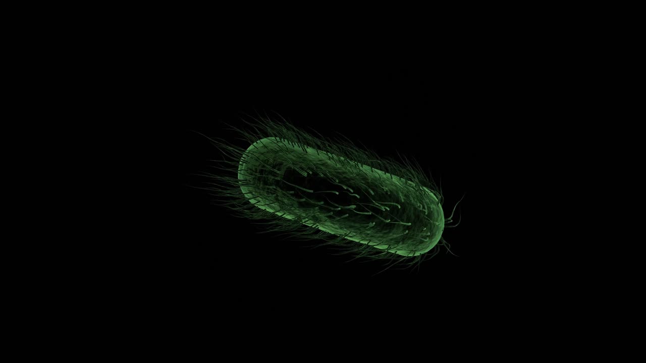 célula de bacteria generada digitalmente contra un fondo negro