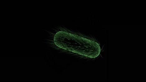 célula de bacteria generada digitalmente contra un fondo negro