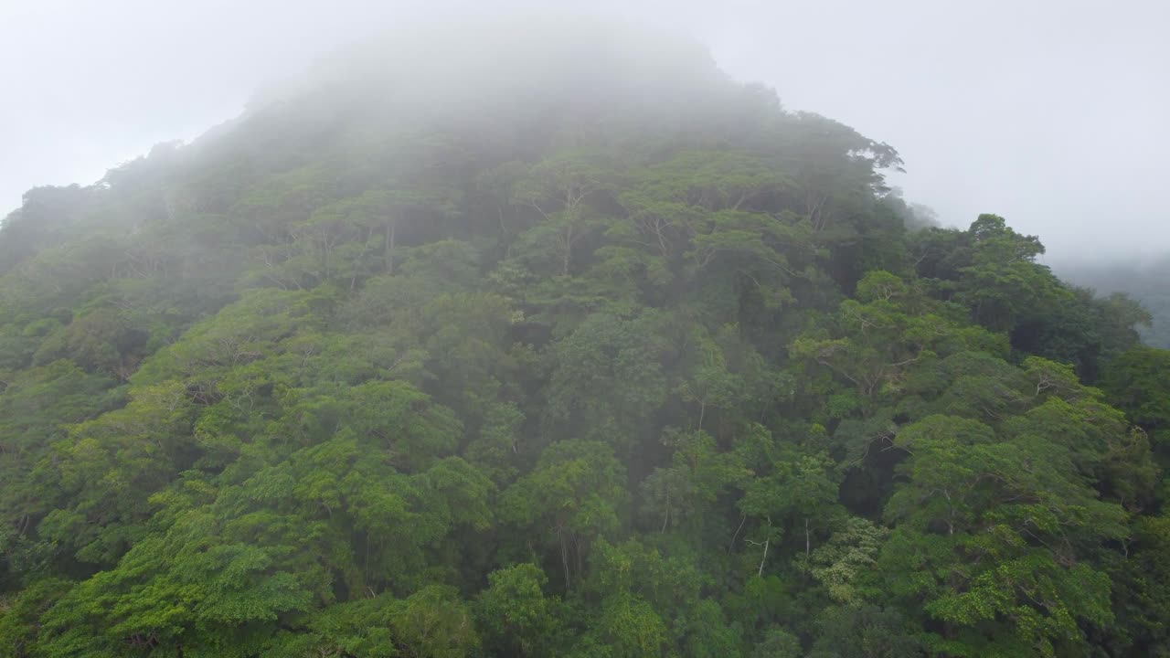 drone aéreo sobre un dosel de árboles en la cima de una colina a través de la lluvia y la niebla en santa marta, colombia, américa del sur