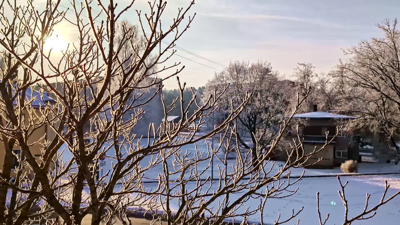 Bare trægrene dækket af frost, der glitrer under en klar vintersol og skaber en fredfyldt, kold scene
