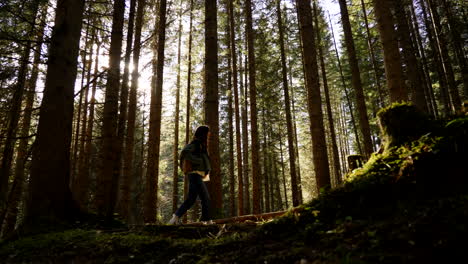 woman hiking in a forest