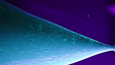 swirling liquids in purple and blue blend together in a mesmerizing abstract macro shot