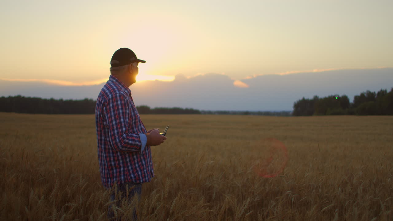 Farmer holds remote controller with his hands while quadcopter is flying on background. Drone hovers behind the agronomist in wheat field. Agricultural new technologies and innovations.