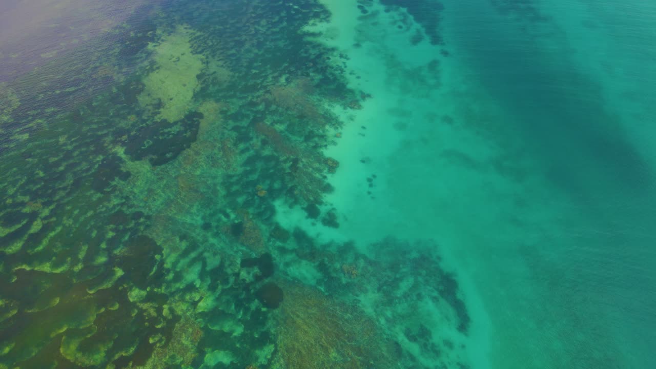 Vista aerea dell'acqua cristallina turchese dell'oceano e della barriera corallina