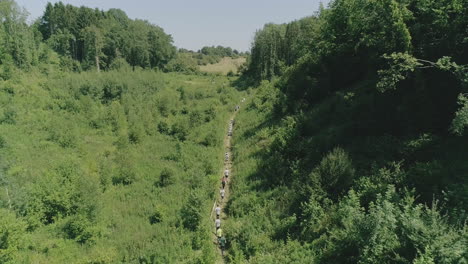 Toma-Aérea-De-Personas-Que-Compiten-En-Un-Sendero-En-Un-Pequeño-Valle-A-Través-Del-Bosque-Durante-El-Verano