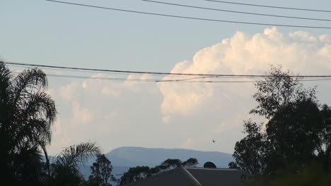 Riesige-Rollende-Wolken-über-Mount-Wellington-Viktorianischen-Alpen-Vogel-Fliegt-über-Australien-Victoria-Gippsland-Maffra-Tagsüber