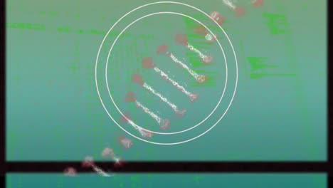 Animation-of-dna-strand-and-circles-over-data-processing