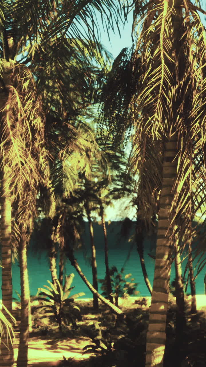 Alberi verdi incorniciano una vista sull'oceano in una giornata di sole in un ambiente tropicale