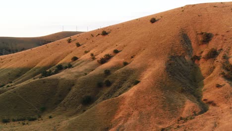 dry hills at sunrise/sunset