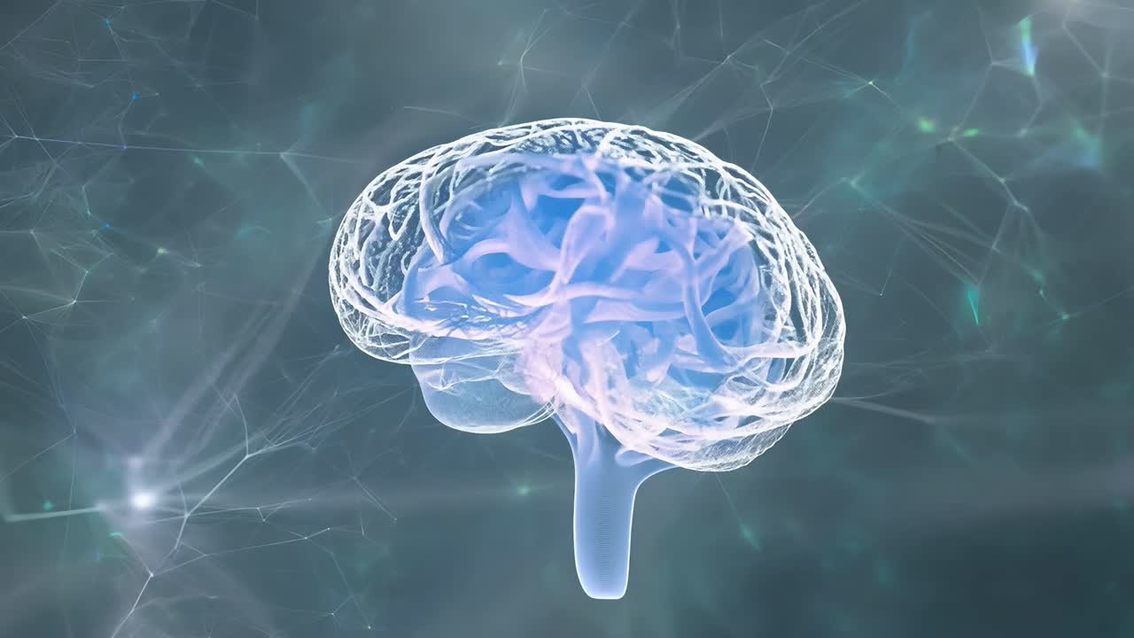 Semitransparent human brain rotates slowly, revealing an intricate ...