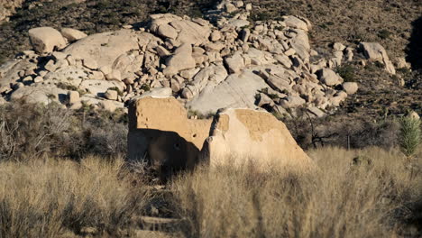 old brick adobe ruins in southwestern desert, gentle breeze