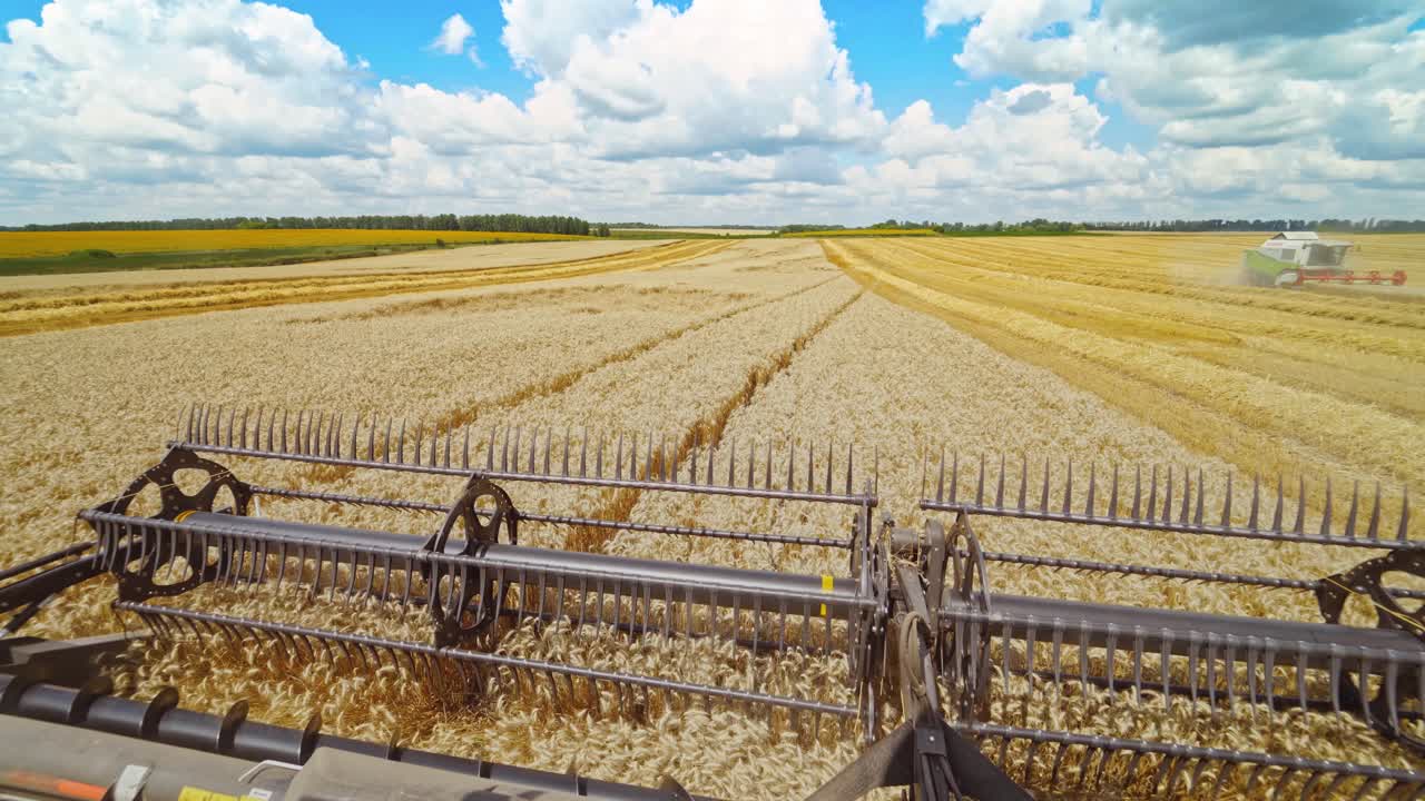 Harvesters working in field. Combine harvester in action on wheat field