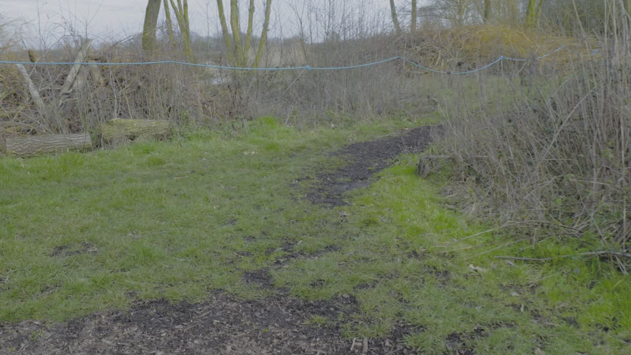 pov fue disparado mientras caminaba por el camino de tierra que conduce a un estanque de pesca de carpas en norfolk, reino unido en un día nublado