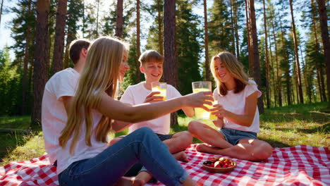family picnic in the forest