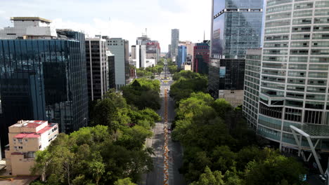 Disparo-De-Un-Dron-Sobre-La-Avenida-Reforma-En-La-Ciudad-De-México-Con-Flores-Tradicionales-Sembradas-En-El-Camellón