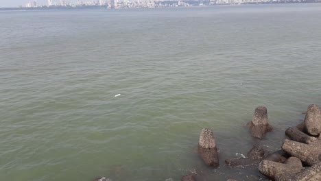 Concrete-wave-breakers-along-the-promenade-on-the-coastline-near-Marine-drive-road