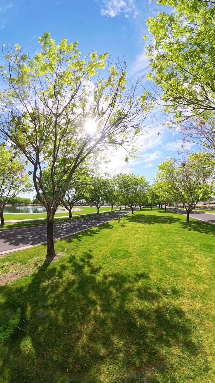 Vertical panning tree lane at Morrison Ranch and lake Gilbert Arizona