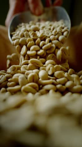 hand pouring coffee beans