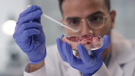 scientist examining lab-grown meat sample